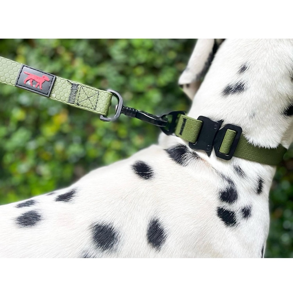 Green Dog Collar and Leash Set NWT